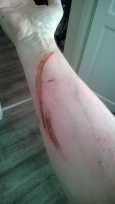 post-2953-0-87203800-1429704333_thumb.jpg