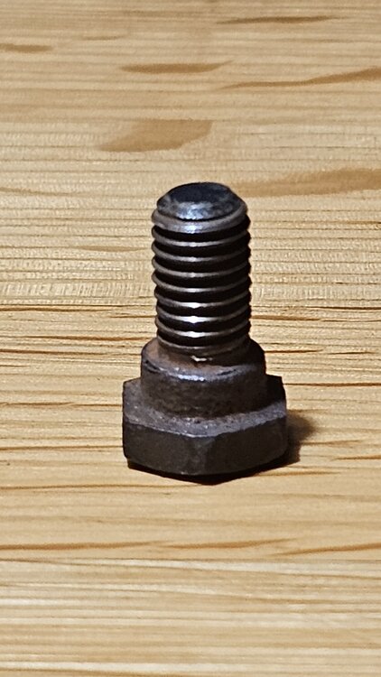 20250317_190809.jpg