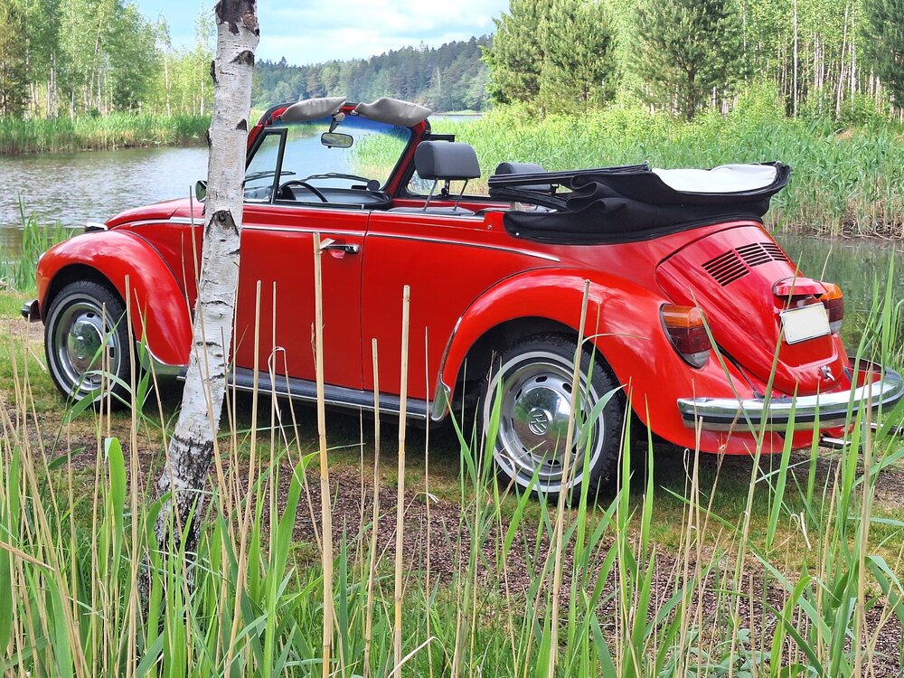Cabrio.thumb.JPG.a184cfea5062320afed094ea6cae2c14.JPG